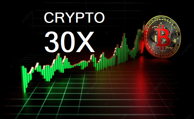 Crypto 30x.com